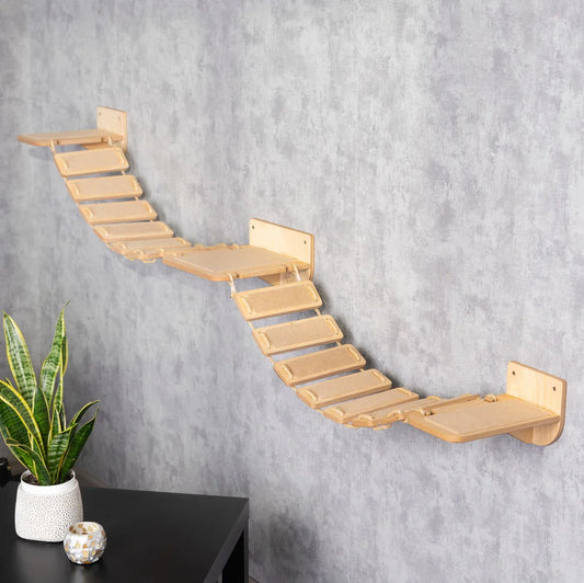 unique-cat-bridge-for-endless-entertainment