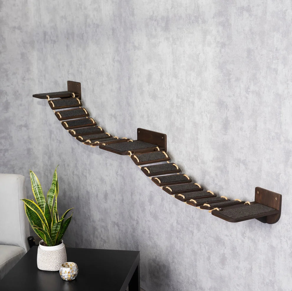 unique-cat-bridge-for-endless-entertainment