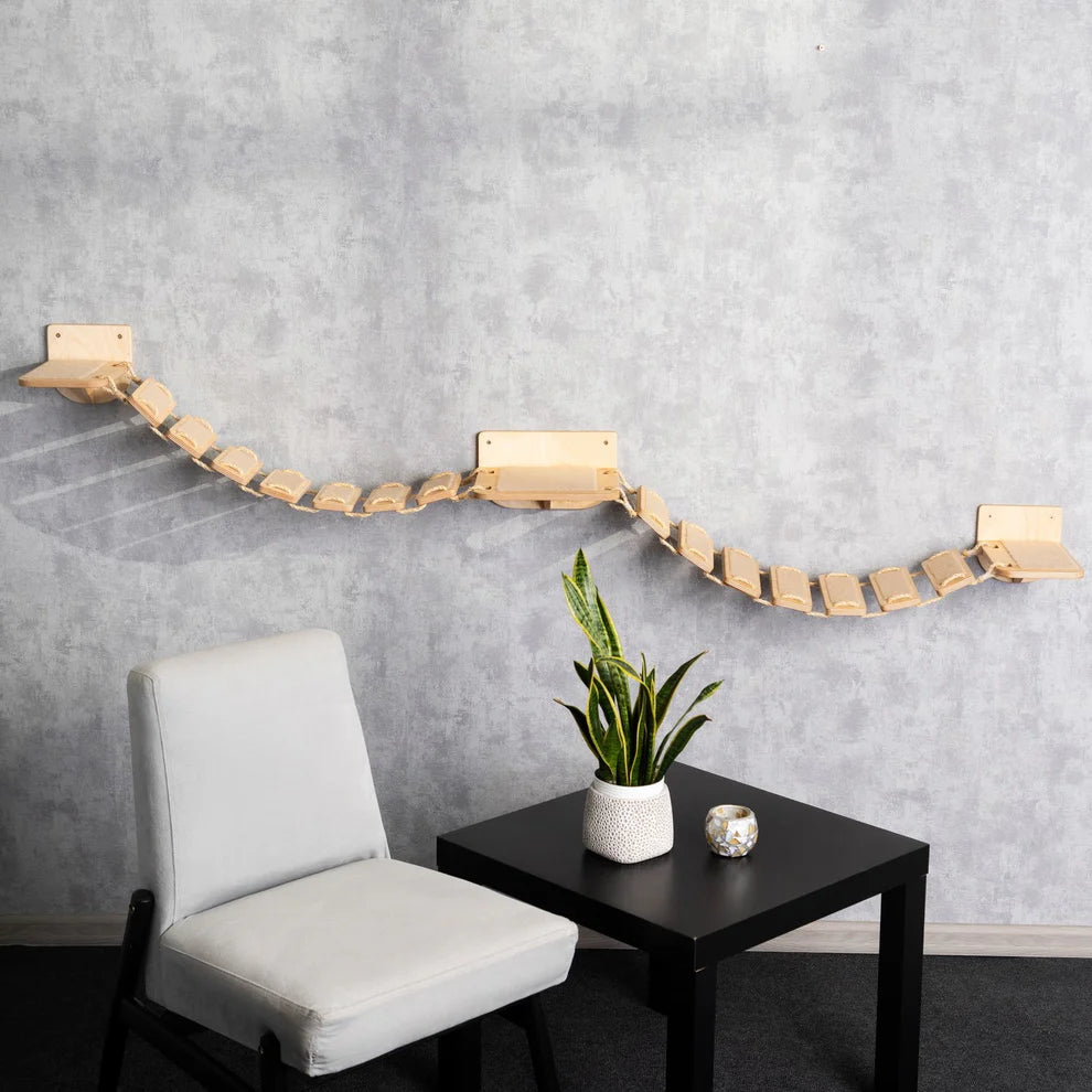 unique-cat-bridge-for-endless-entertainment