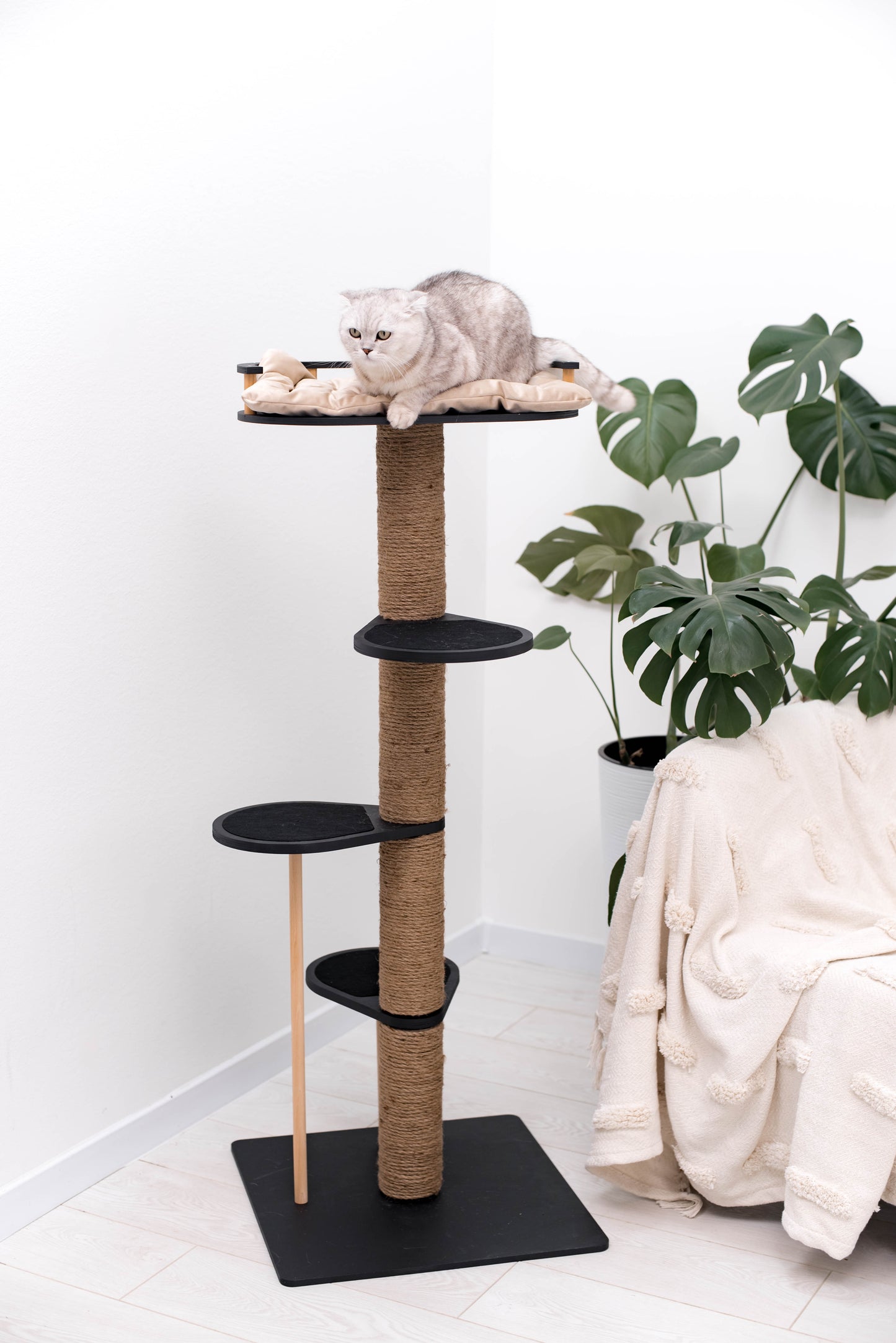 black-cat-tree