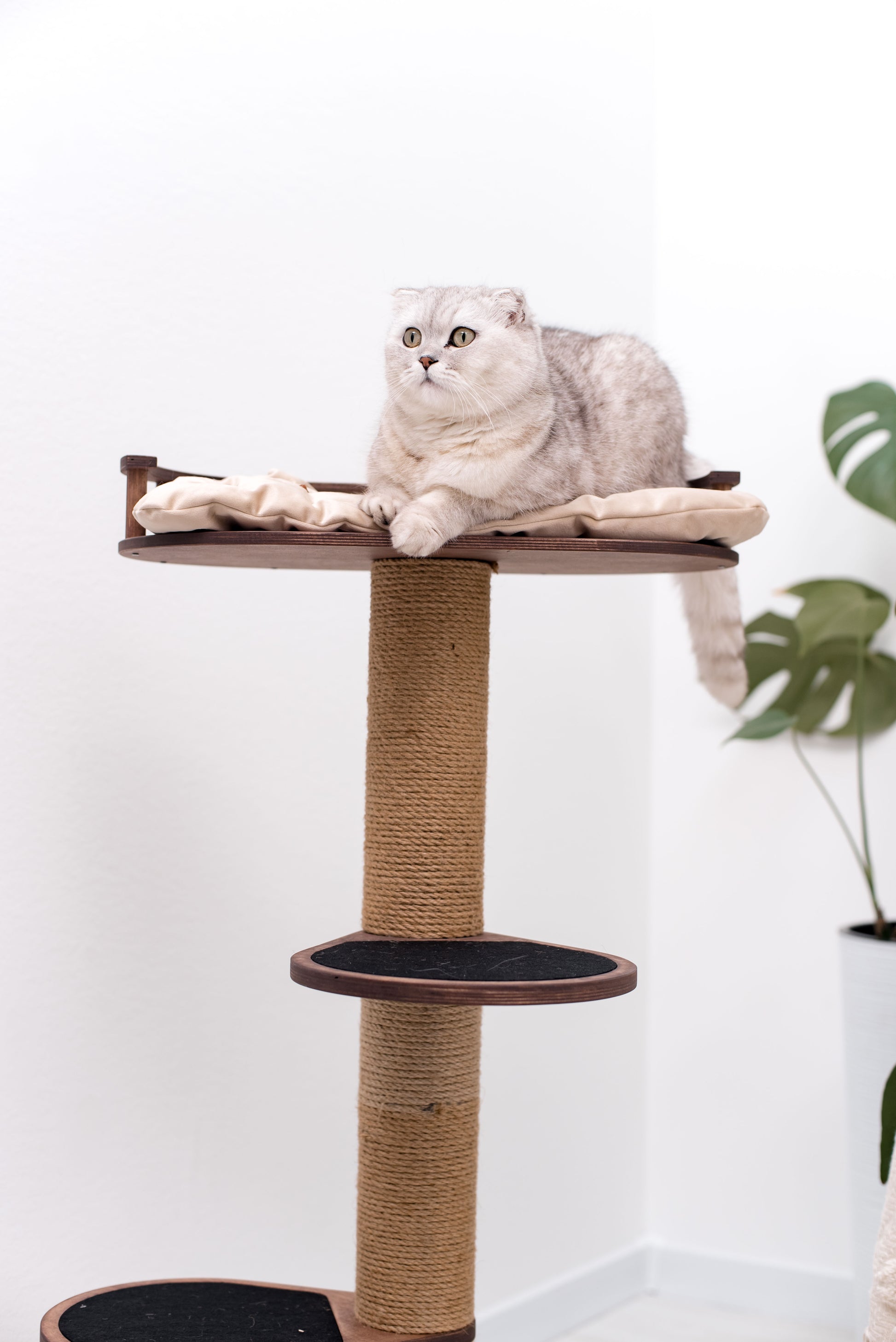 brown-cat-tree