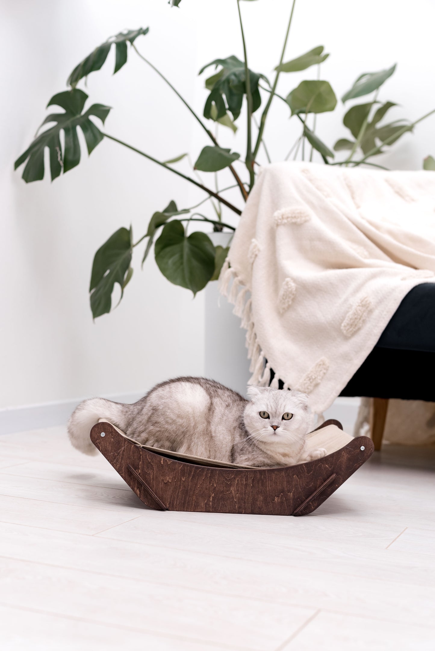 cat-bed-hammock