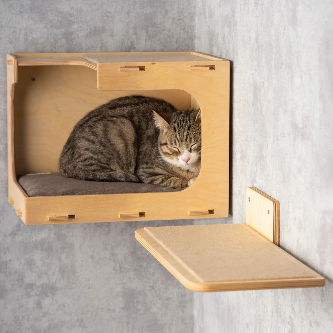 Stylish Cat Wall Houses with Integrated Steps - Modern Cat