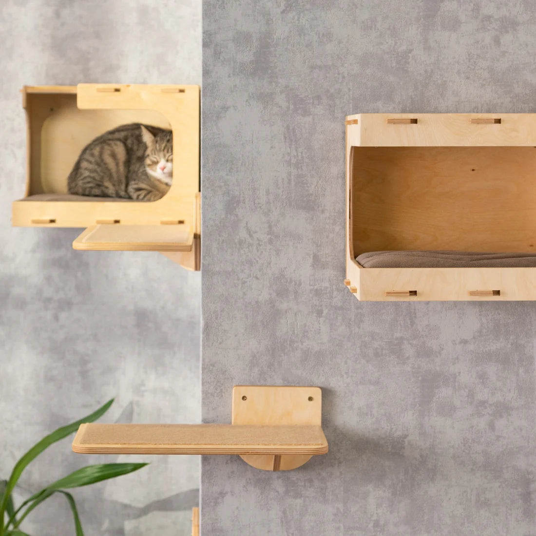 Stylish Cat Wall Houses with Integrated Steps - Modern Cat