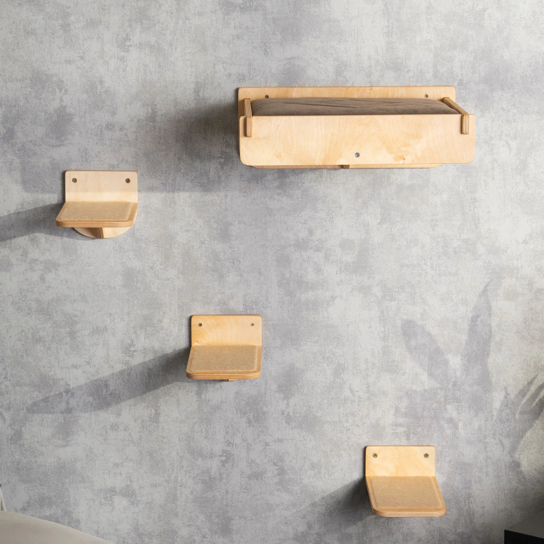 cat-steps_8333ceaa-d8f3-4af8-b9b0-040ec04fe1c4
