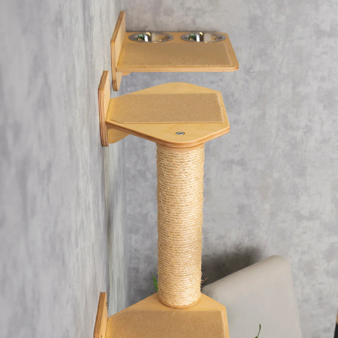 cat-wall_d20a4bec-e7b9-4be0-9c22-d008747f9b33