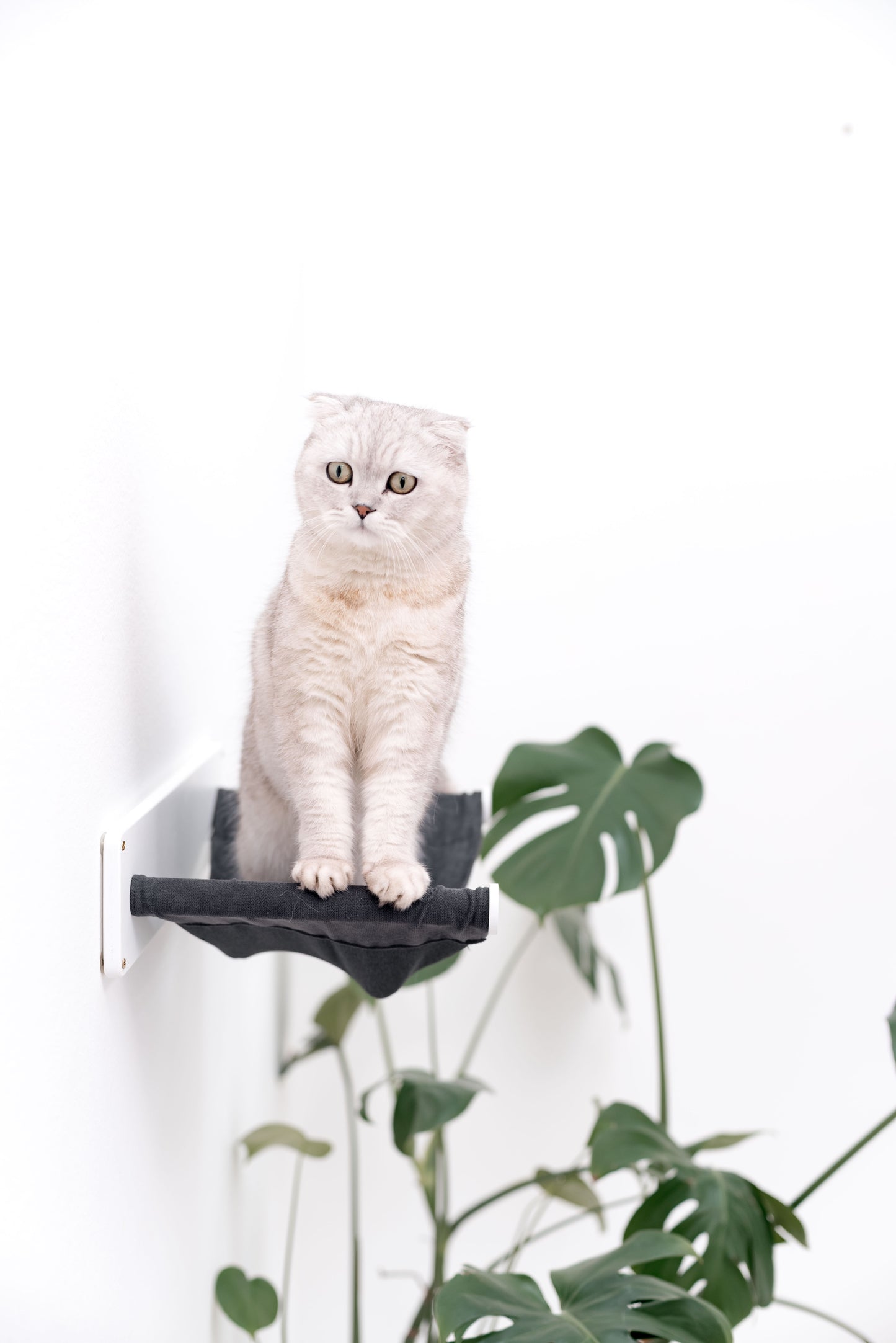dark-cat-hammock-wall-mount