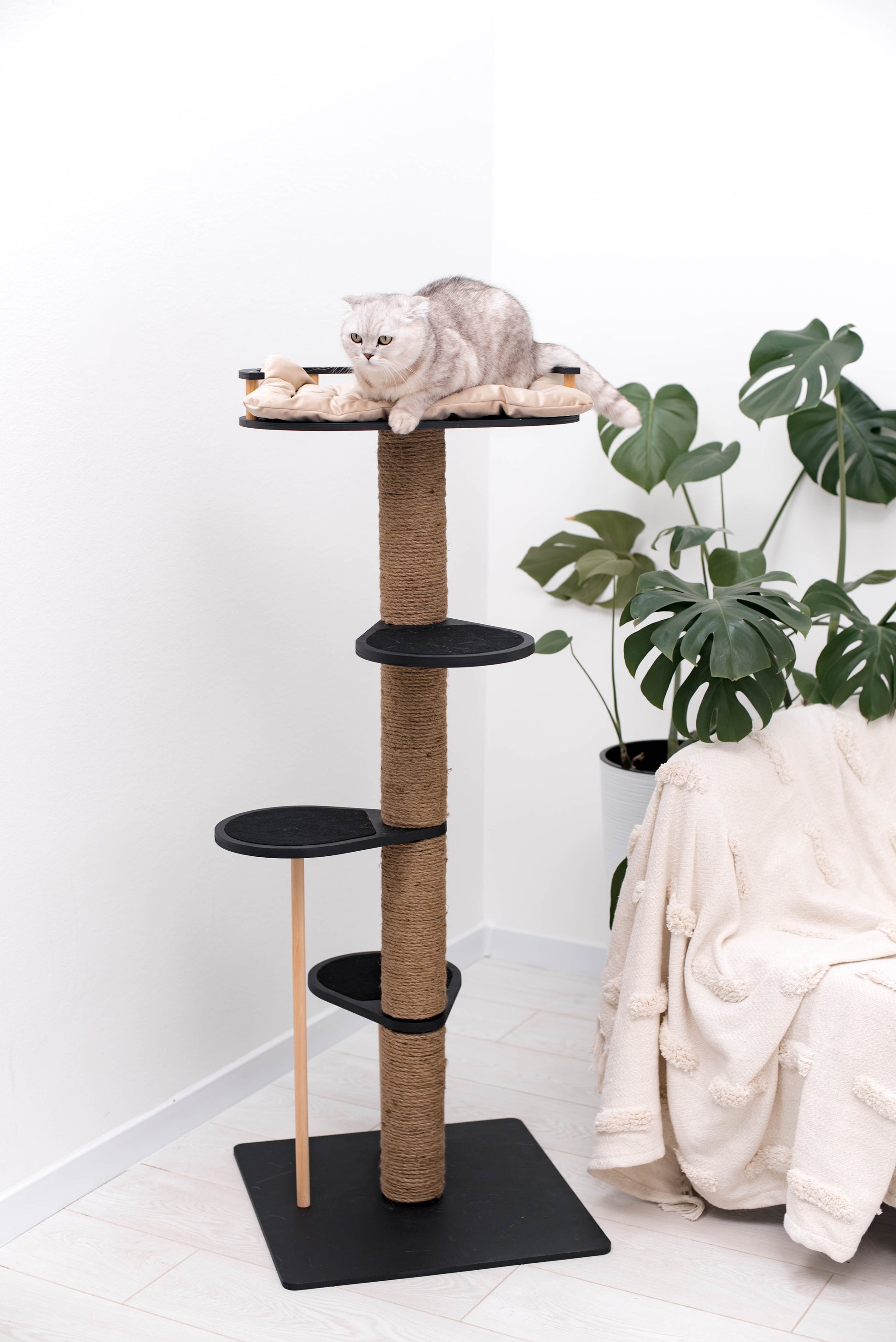 dark-cat-tree