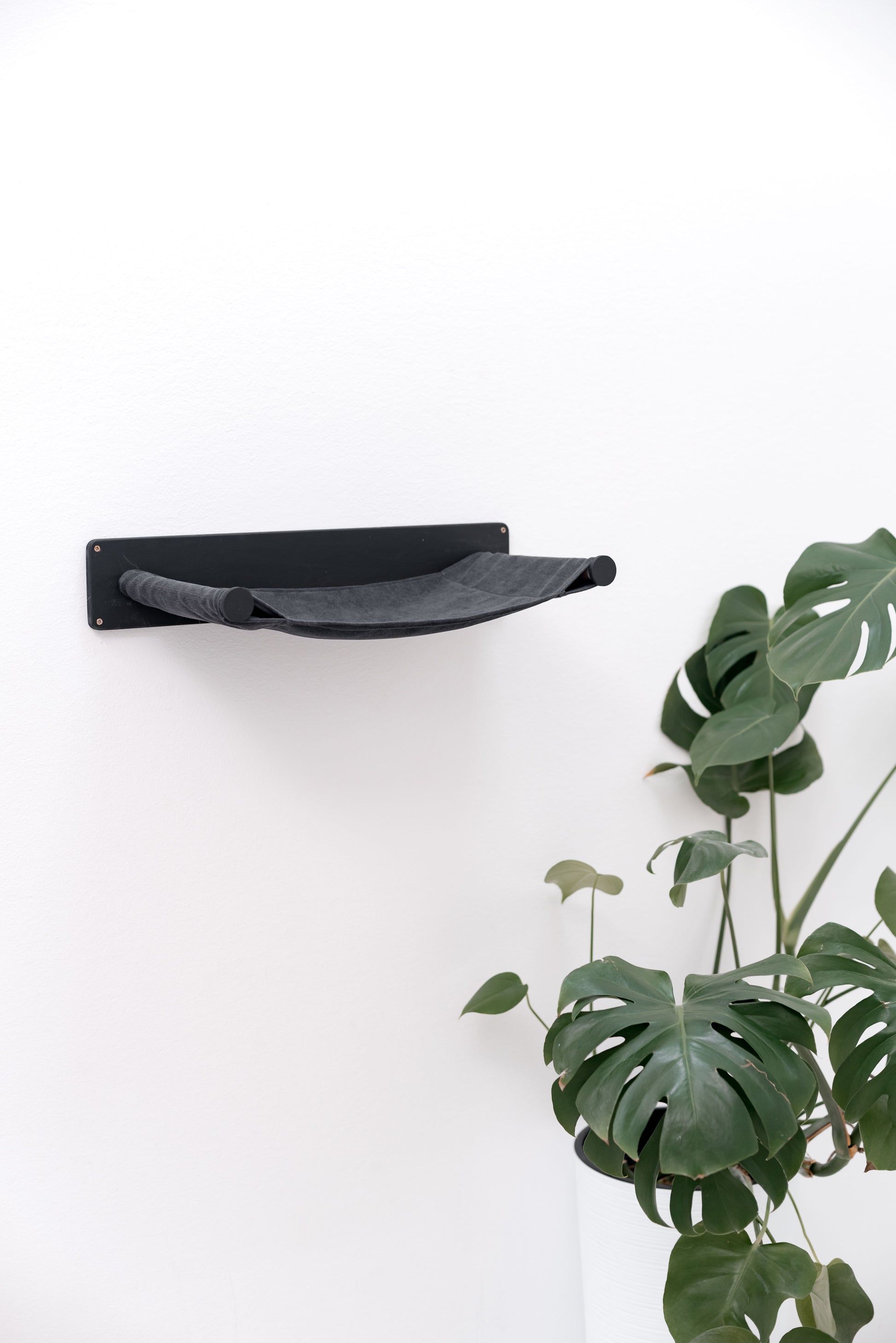 dark-cat-wall-mount-hammock