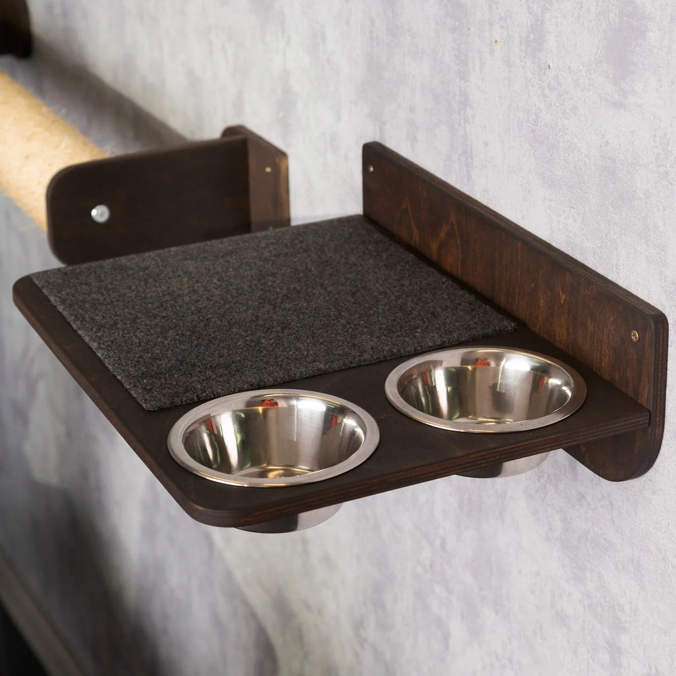 new-cat-feeder-2025