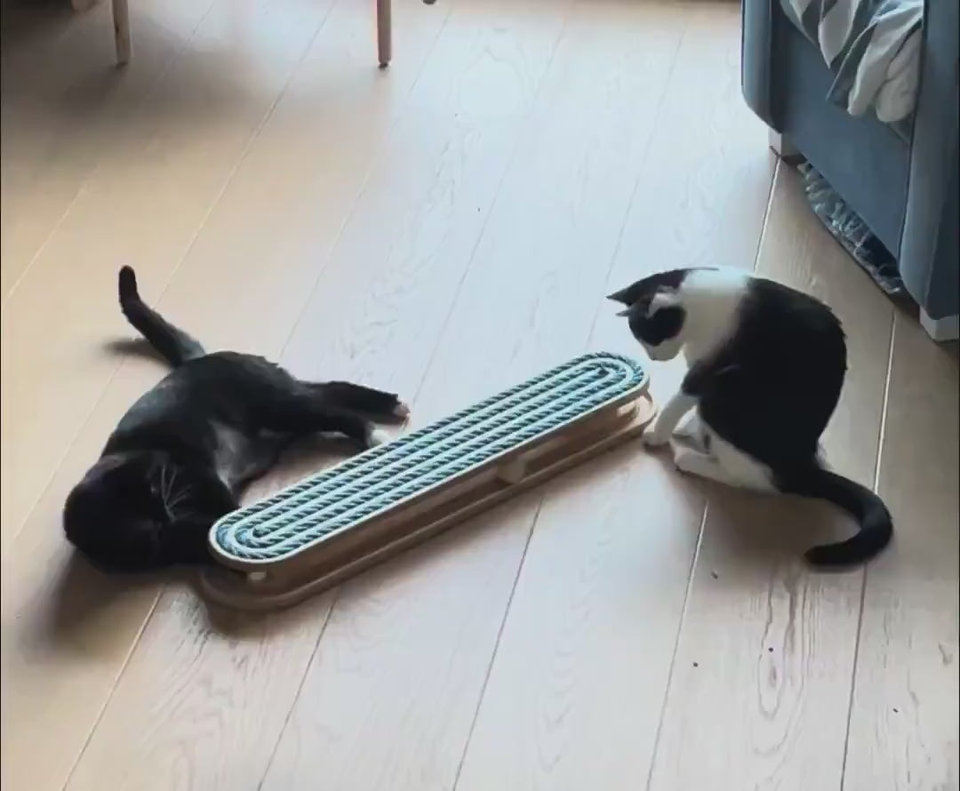 Cats_Playing_With_Floor_Sisal