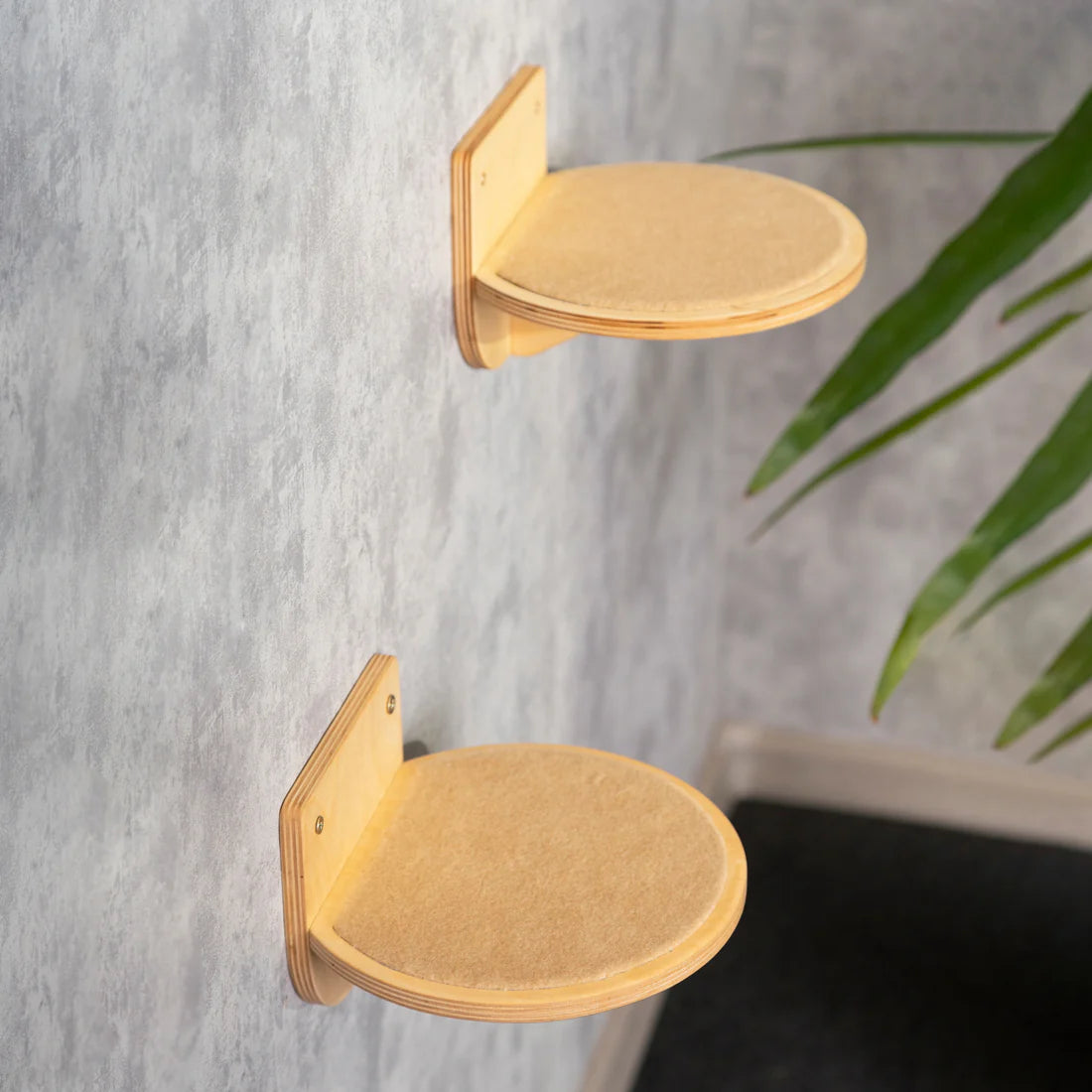 round-wall-step