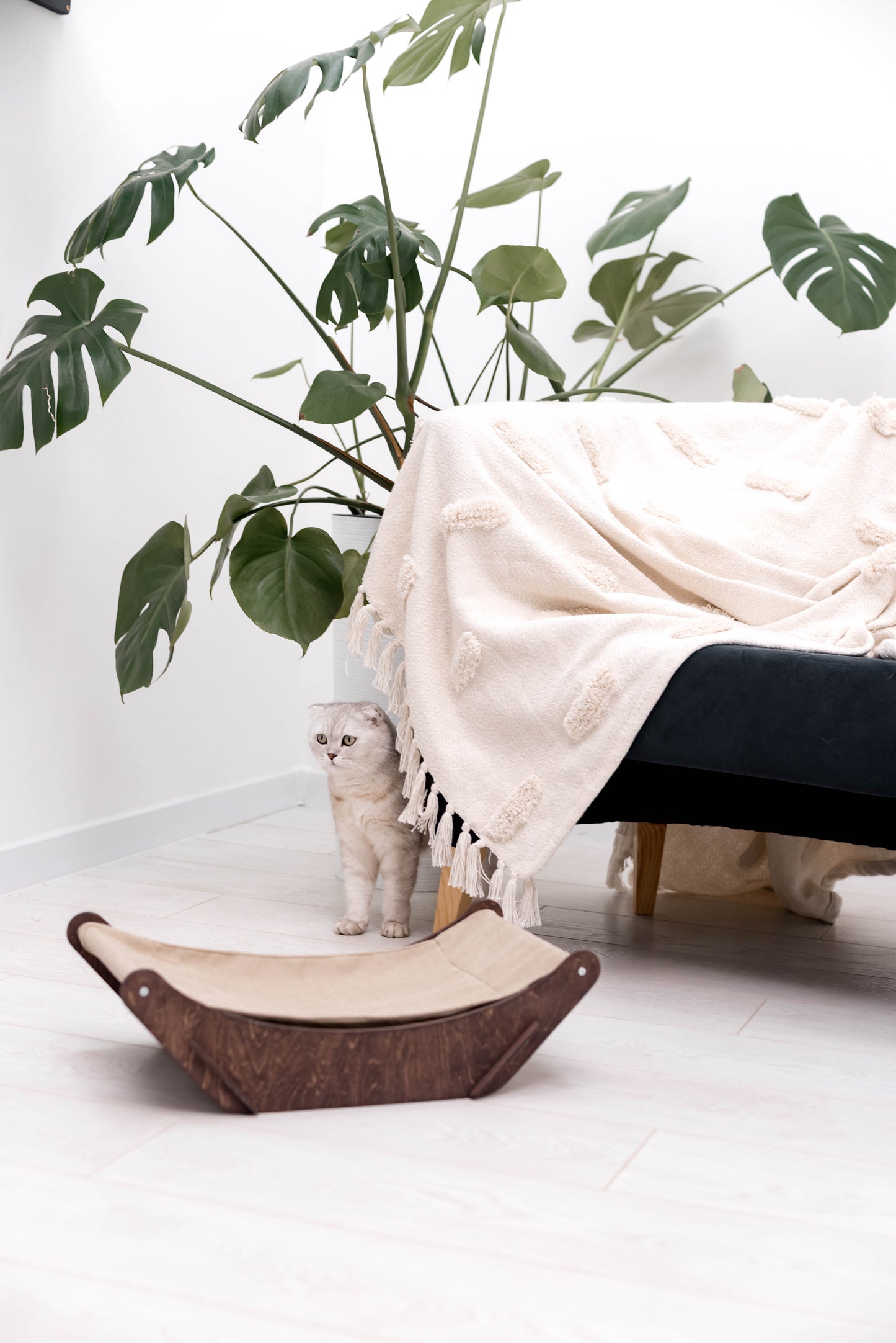 short-eared-cat-bed