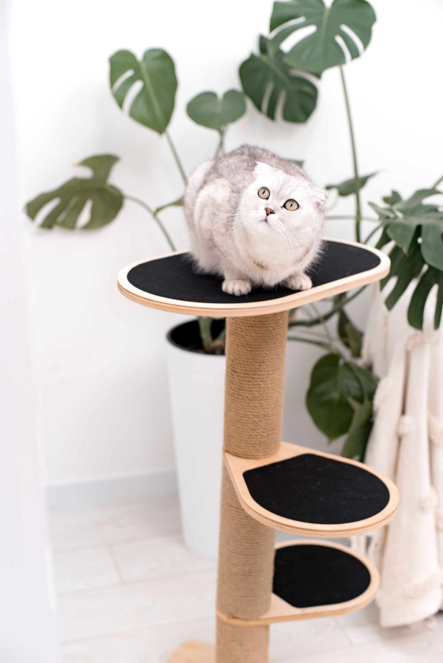 small-cat-tower