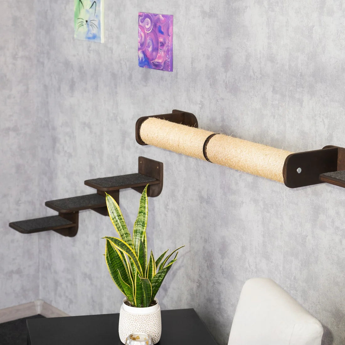 wall-mounted-cat-feeding-station