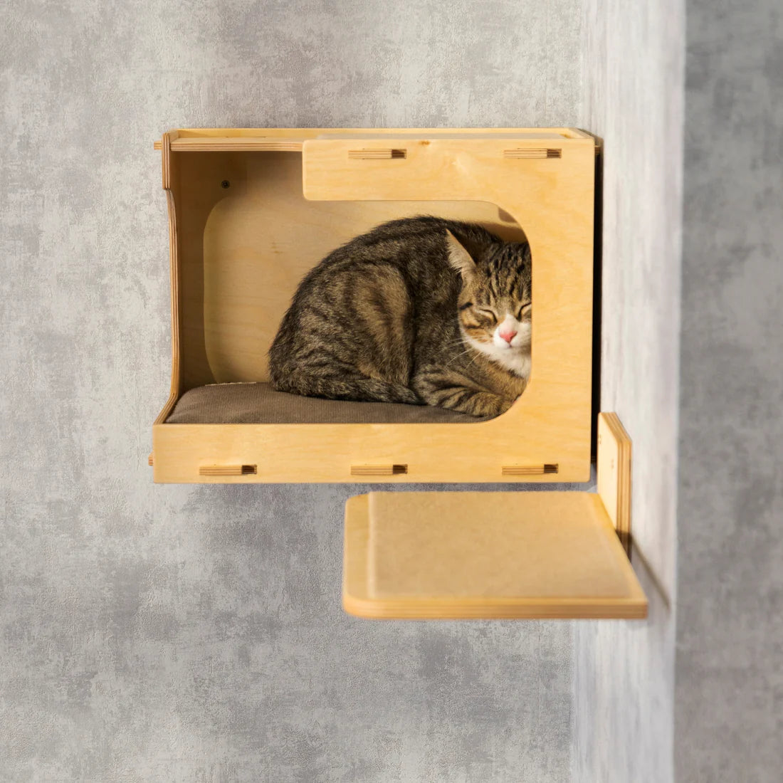 Stylish Cat Wall Houses with Integrated Steps - Modern Cat