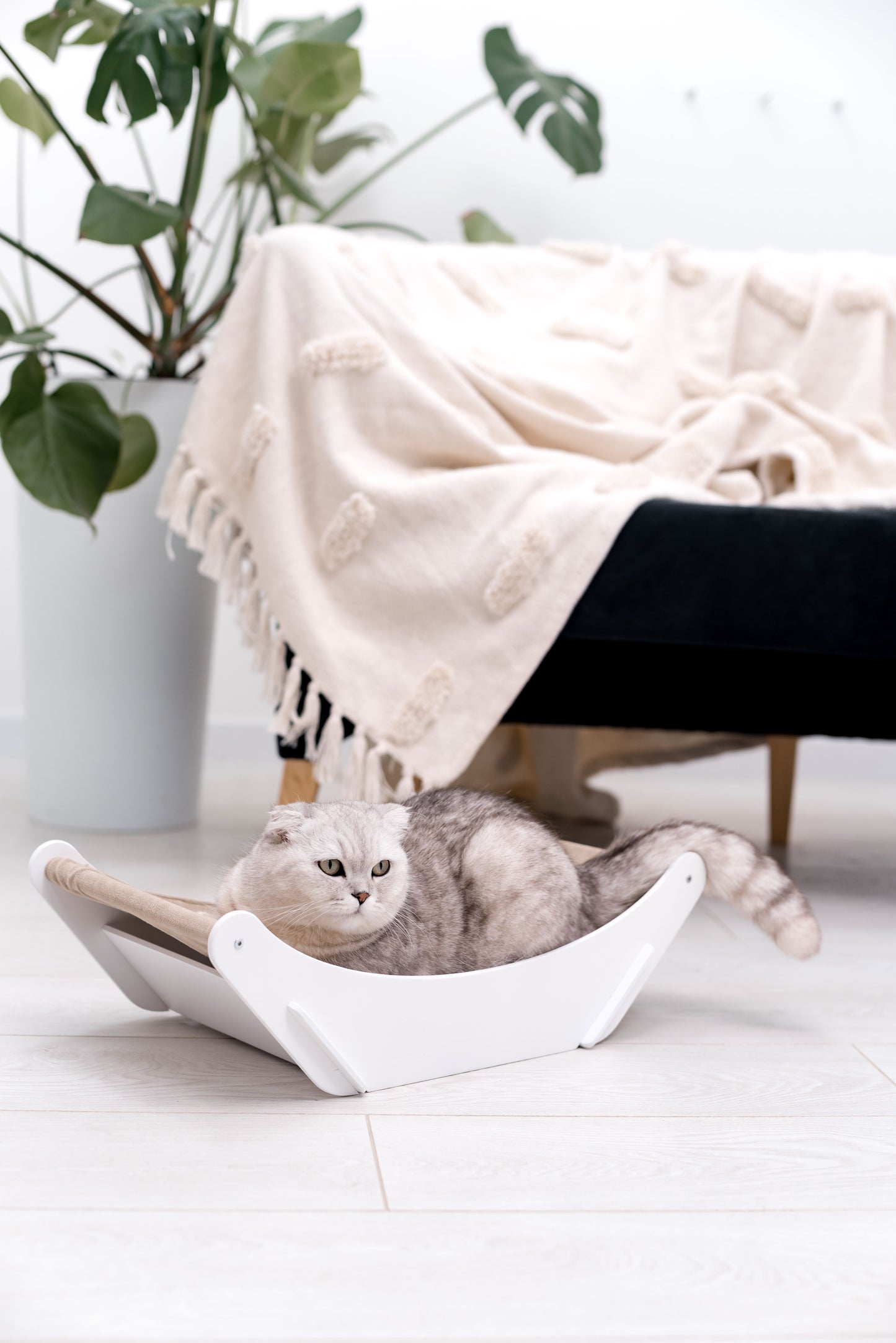 white-cat-hammock